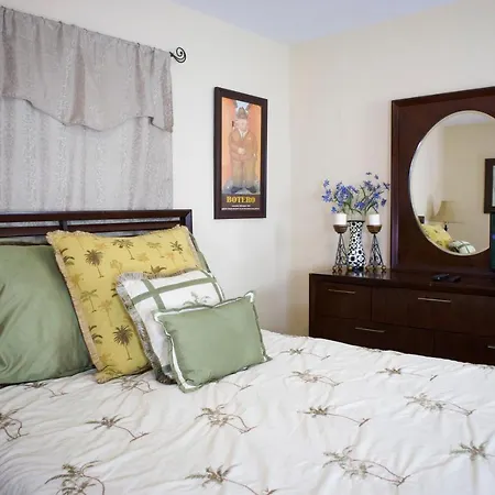 Great Location Near Downtown & Airport Villa Tampa Exterior photo